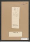 Diatomeae indet. Zeichnungen Sammlung Grunow Nr. 2845 (NHMW-BOT-W0370164)